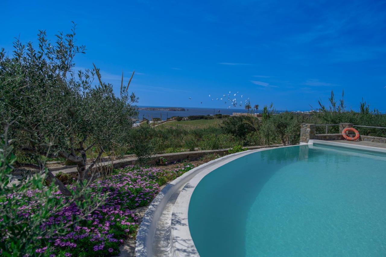 Anthemion Paros - Villas & Suites 阿吉亚艾里尼帕罗 外观 照片