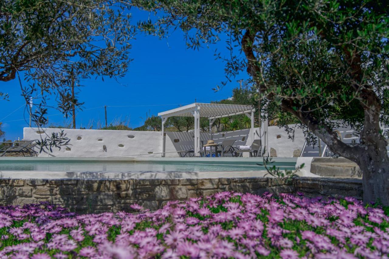 Anthemion Paros - Villas & Suites 阿吉亚艾里尼帕罗 外观 照片